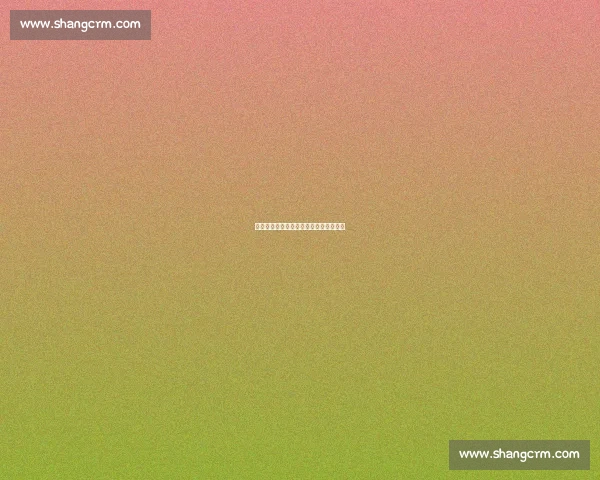 萨内蒂力赞齐沃：钢铁伙伴与绿茵燃灯者